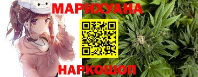 соль ск Будённовск