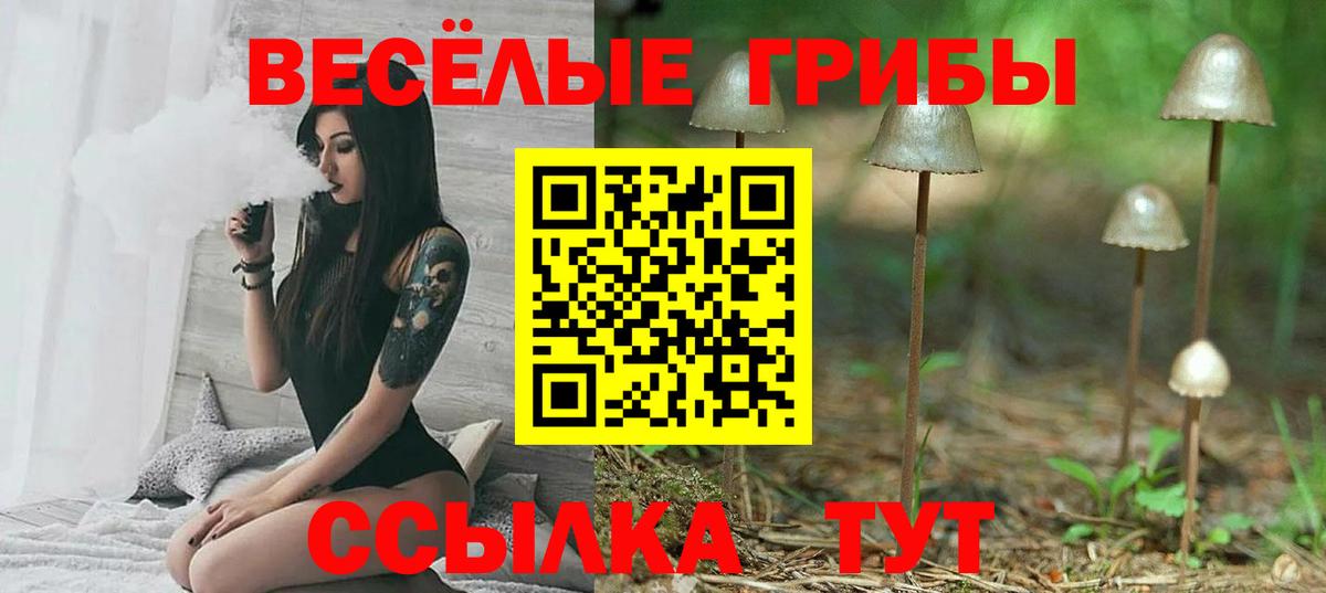 Ревда  Галлюциногенные грибы GOLDEN TEACHER  Вход с VPN 