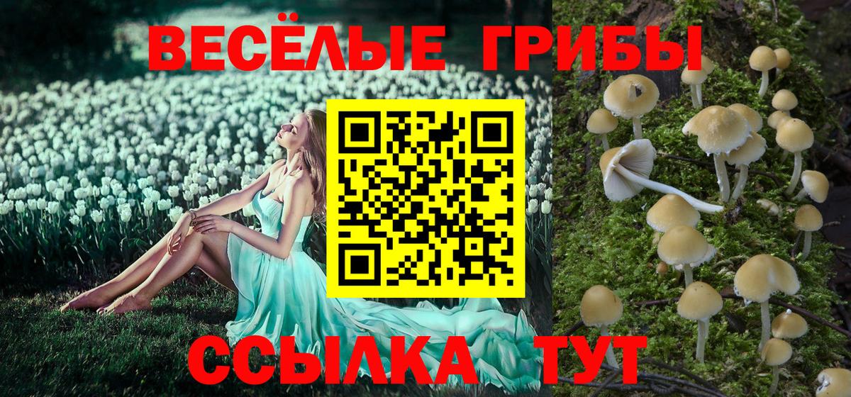 Галлюциногенные грибы GOLDEN TEACHER Ревда